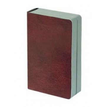 Bollmann ampularij za 42 ampule, skaj, bordo