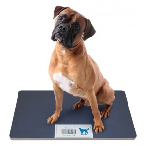Digitalna vaga srednje veličine za kućne ljubimce | kapacitet 100kg | preciznost 100g