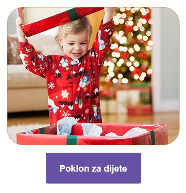 Bozic_2017